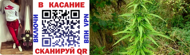 Купить закладку Нижний Новгород COCAIN  МЕФ  ГАШИШ 