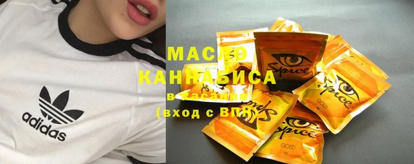 крисы Мегион