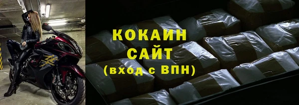 крисы Мегион