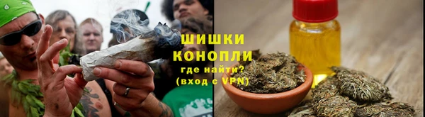 метадон Медногорск