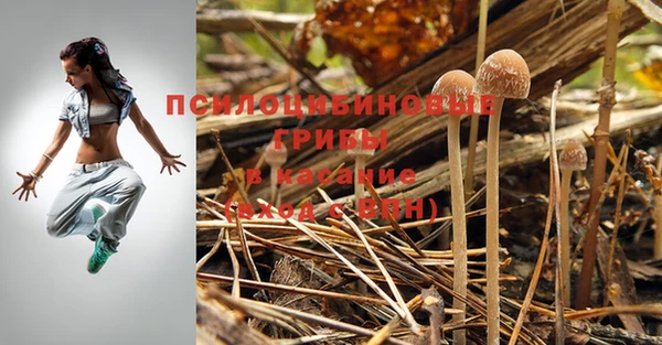 метадон Медногорск