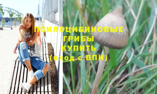 мдма Медвежьегорск