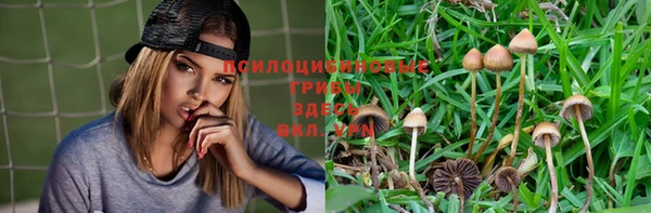 крисы Мегион