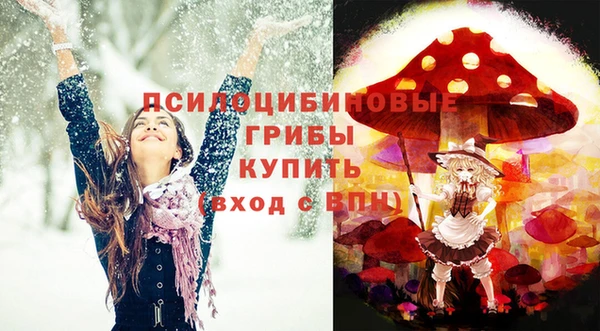 метадон Медногорск