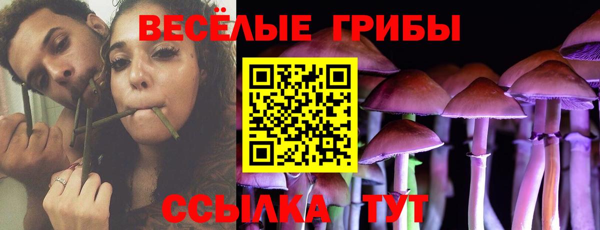 Галлюциногенные грибы ЛСД Нижний Новгород